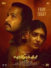 Sookshma Darshini (2024) HDRip Malayalam Full Movie Watch Online Free